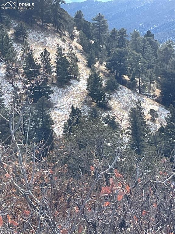 Image 6 of 14: View of mountain background with a heavily wooded area