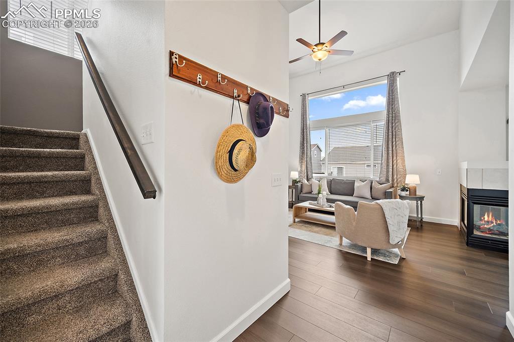 Image 2 of 41: Other