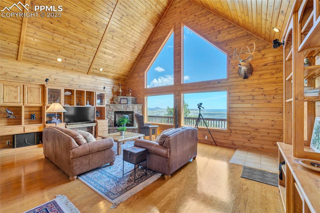 Image 11 of 49: Living Room