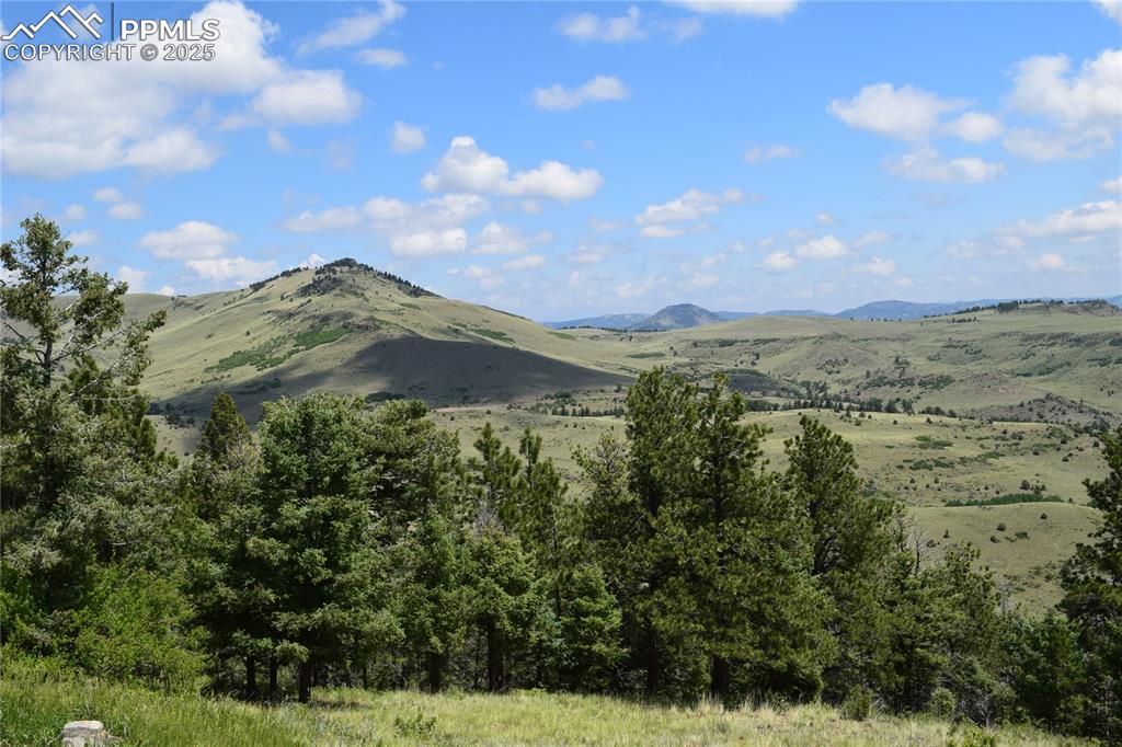Image 49 of 49: View
