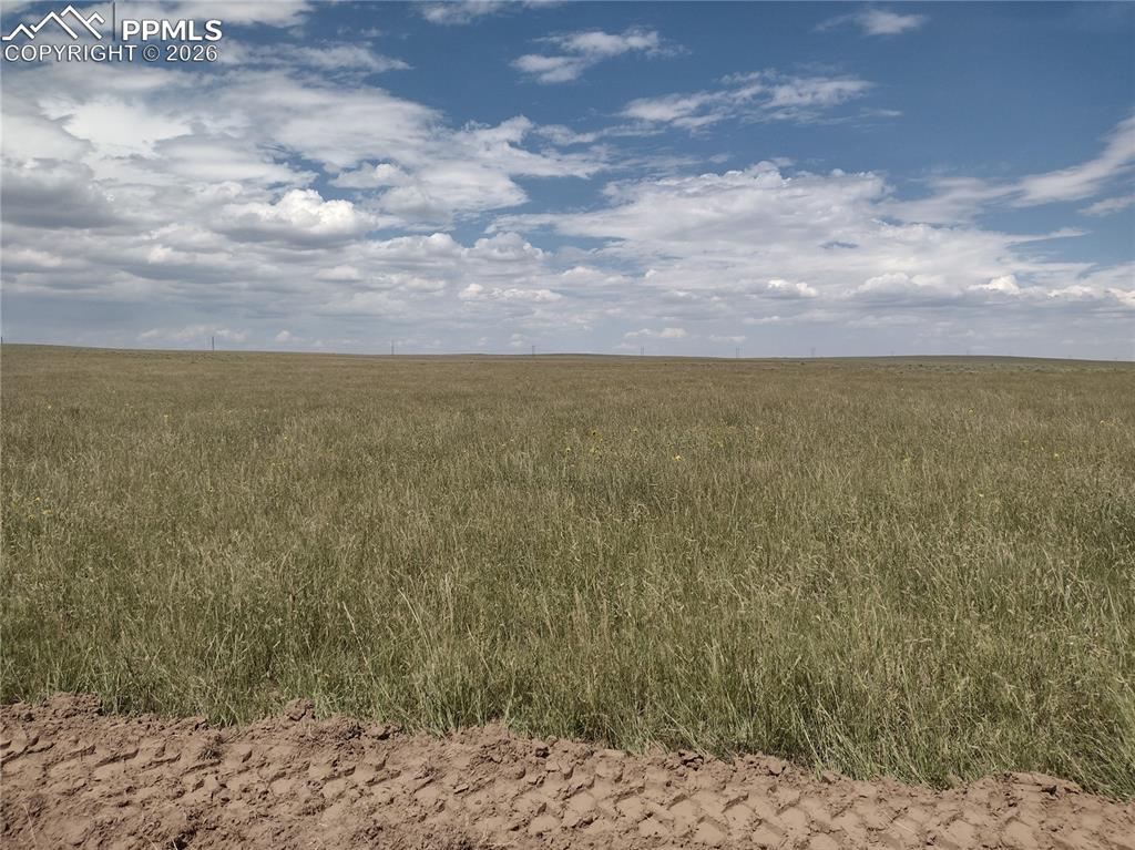 Image 8 of 16: Other