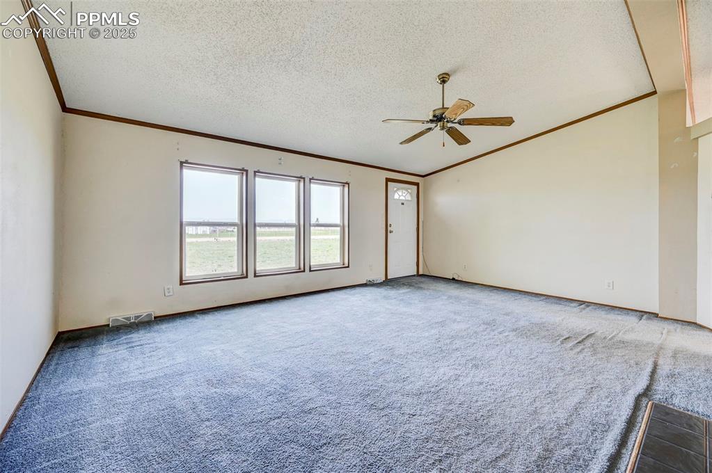 Image 10 of 48: Carpeted empty room featuring crown molding, ceiling fan, a textured ceilin