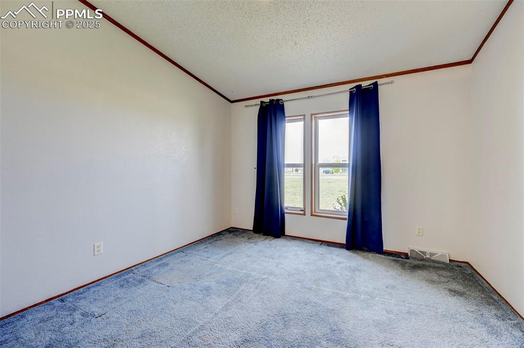 Image 36 of 48: Unfurnished room featuring crown molding, carpet floors, a textured ceiling
