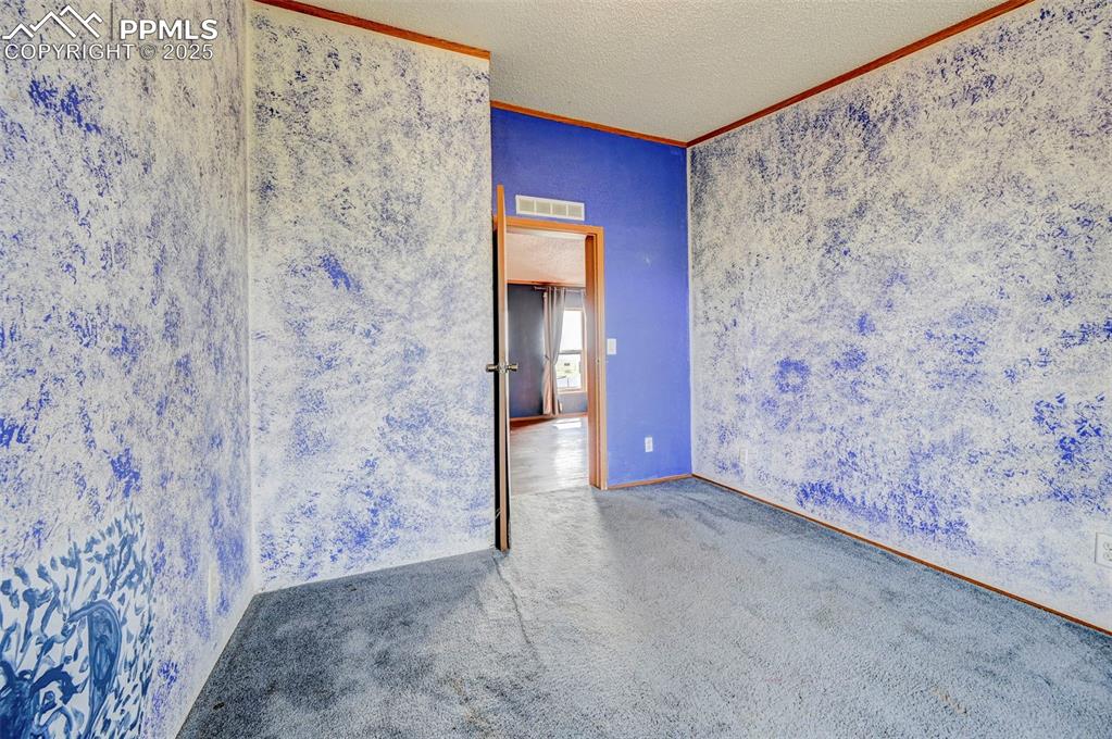 Image 38 of 48: Empty room featuring ornamental molding, carpet, a textured ceiling, and ba