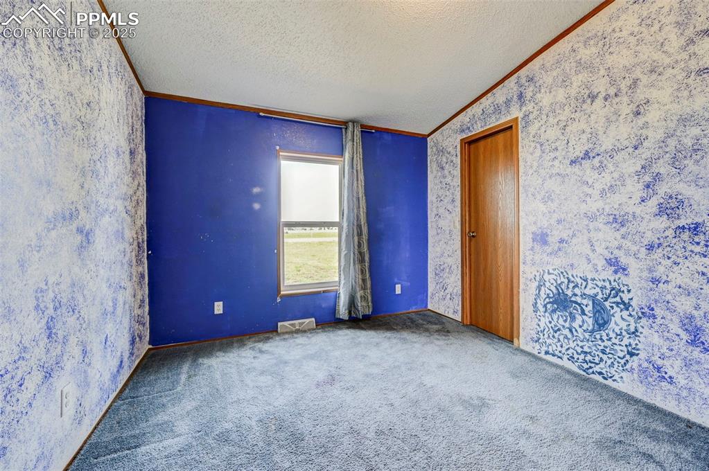 Image 39 of 48: Spare room featuring crown molding, carpet floors, a textured ceiling, vaul