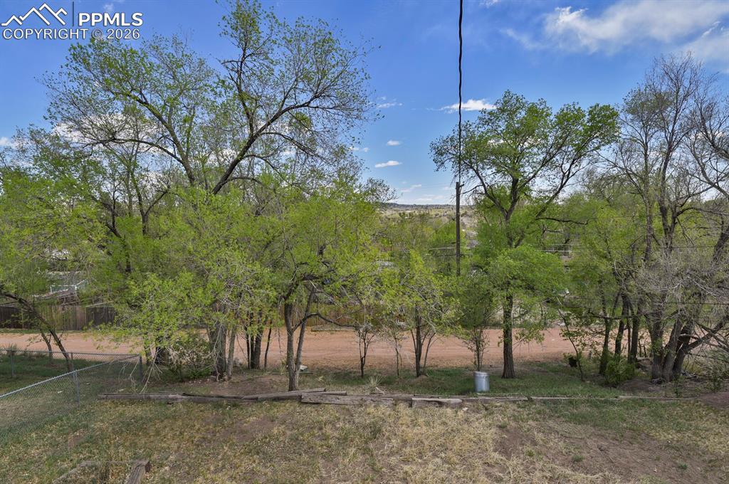 Image 26 of 31: Large yard