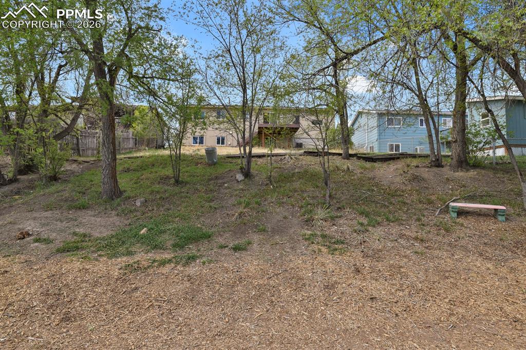 Image 29 of 31: Large yard