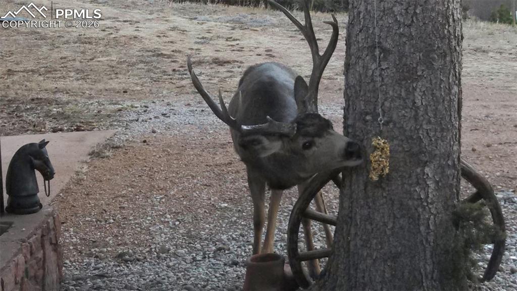 Image 27 of 31: Other