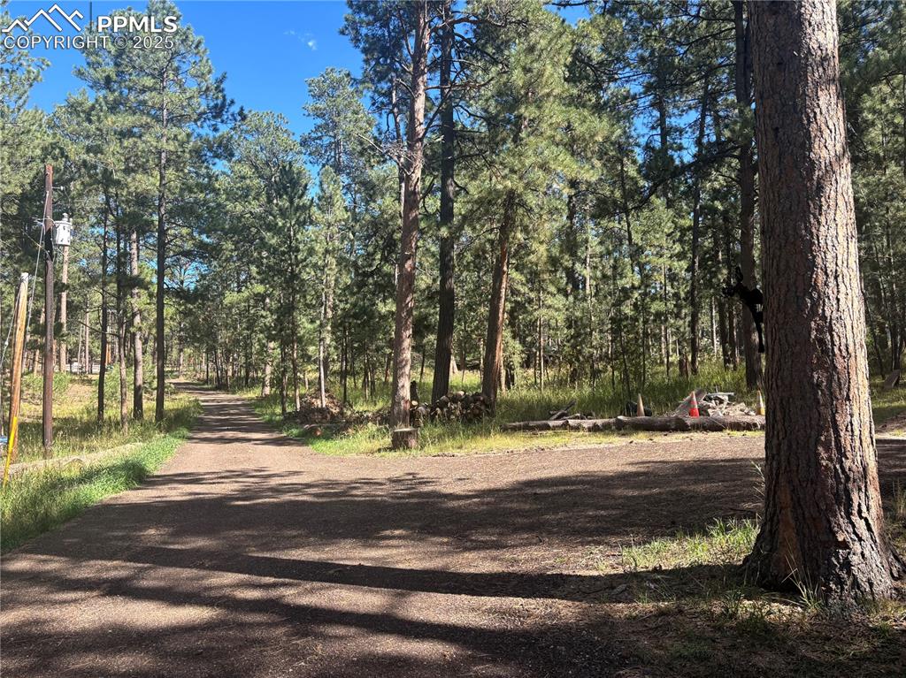 Image 12 of 12: Community