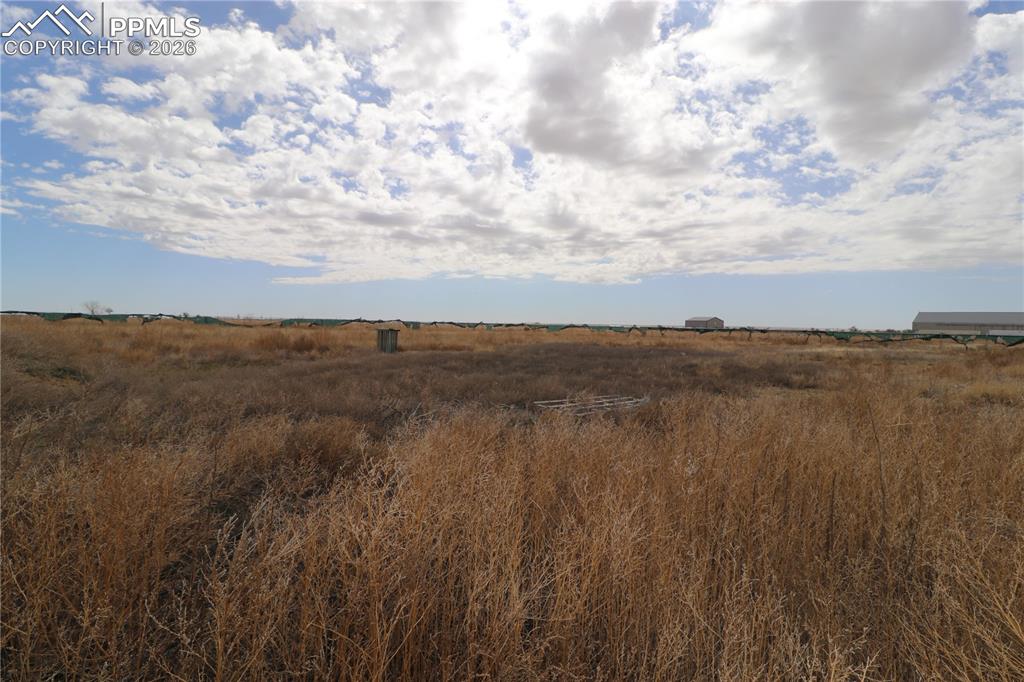 Image 9 of 23: Other