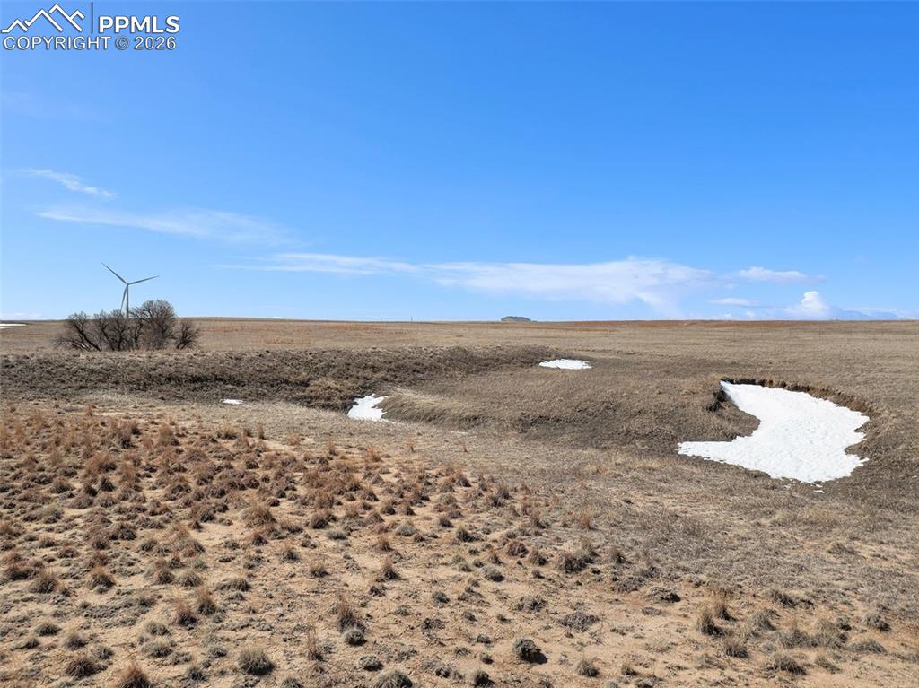 Image 8 of 17: View across the property showing natural grasses and soil conditions.