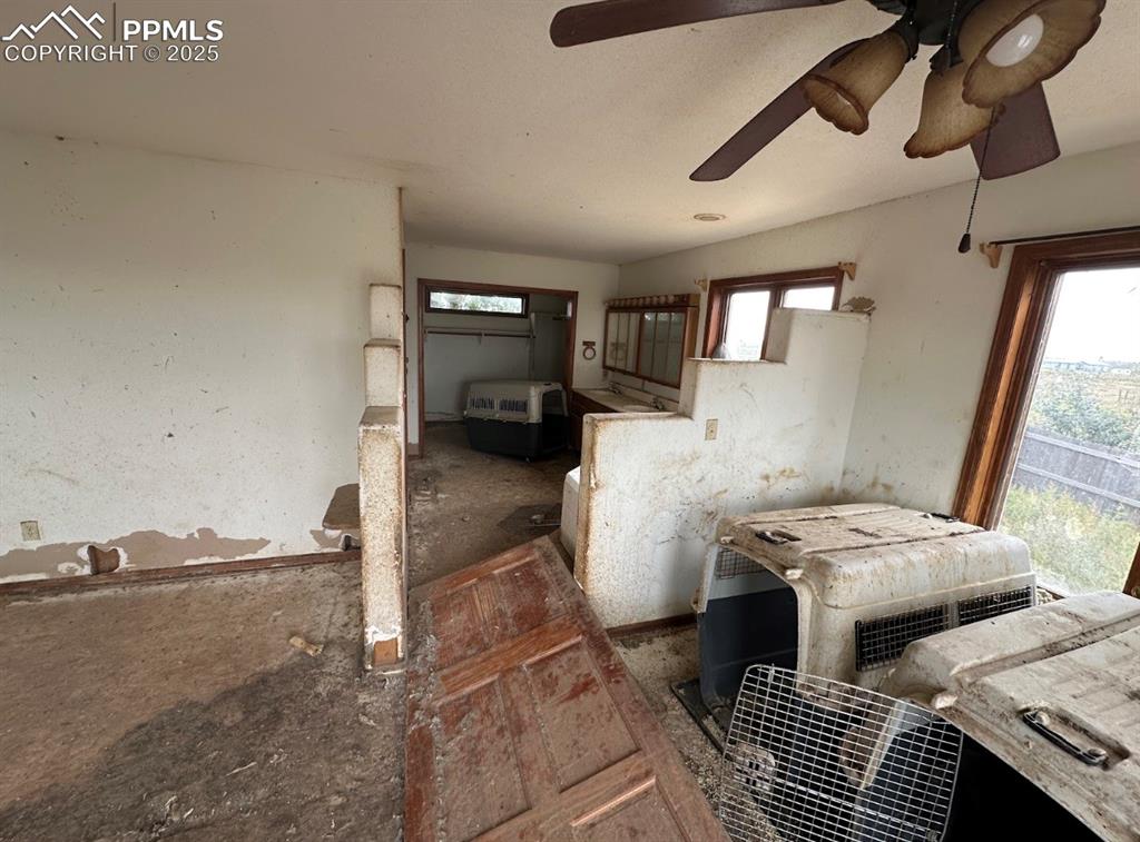 Image 28 of 36: Kitchen featuring healthy amount of natural light