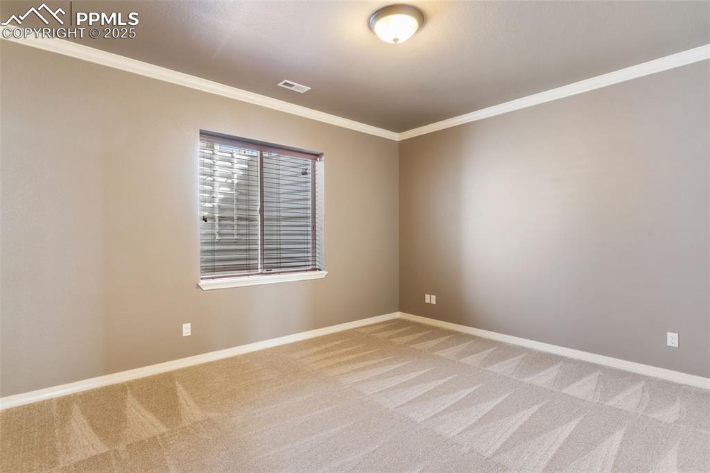 Image 24 of 27: Spare room with ornamental molding and carpet floors