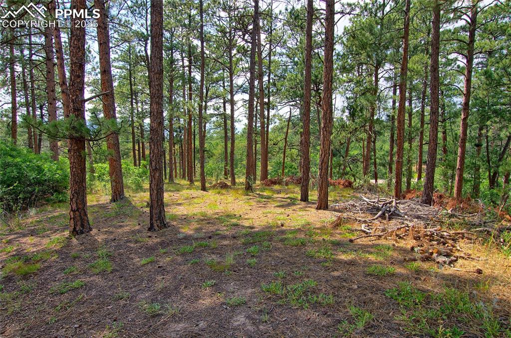 Image 32 of 43: Yard