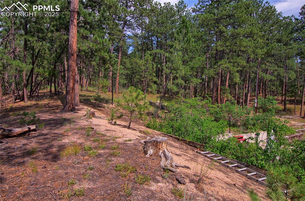 Image 33 of 43: Yard