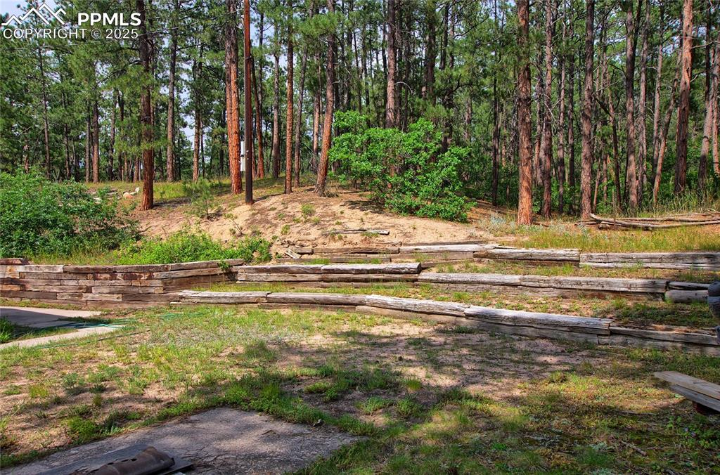 Image 34 of 43: Yard