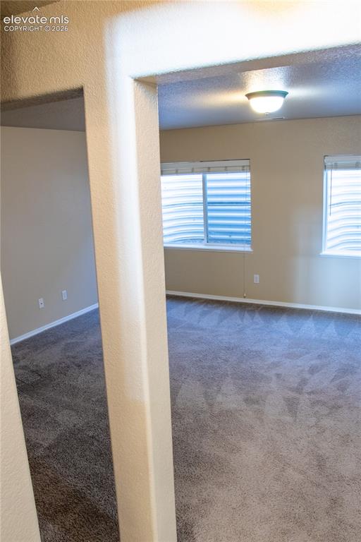 Image 19 of 40: Carpeted interior space featuring two windows with blinds, a ceiling-mounte