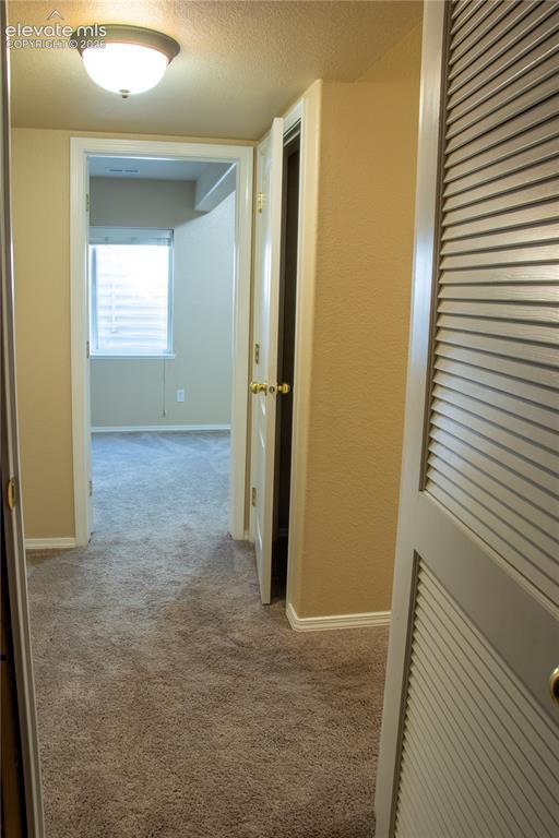 Image 32 of 40: Hallway with neutral-toned carpeting, white trim, and a flush-mount ceiling