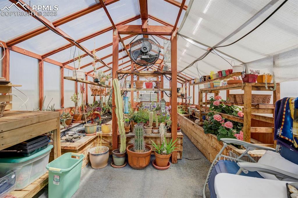 Image 44 of 50: Inside the heated greenhouse
