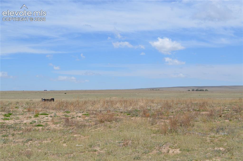 Caption: View