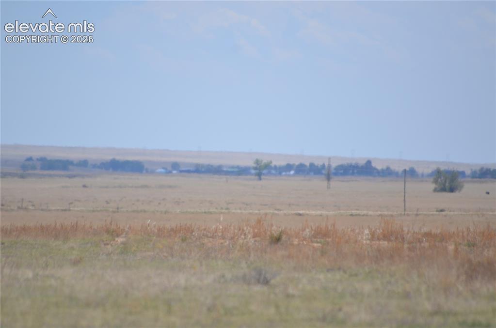 Image 14 of 16: Other