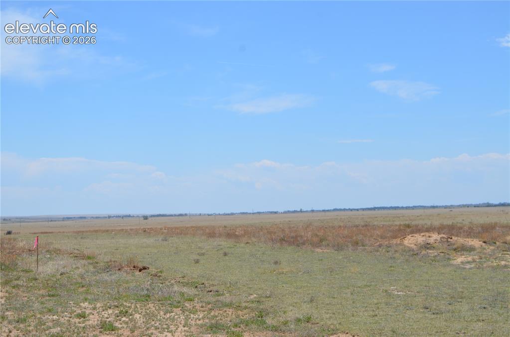 Image 8 of 16: Other