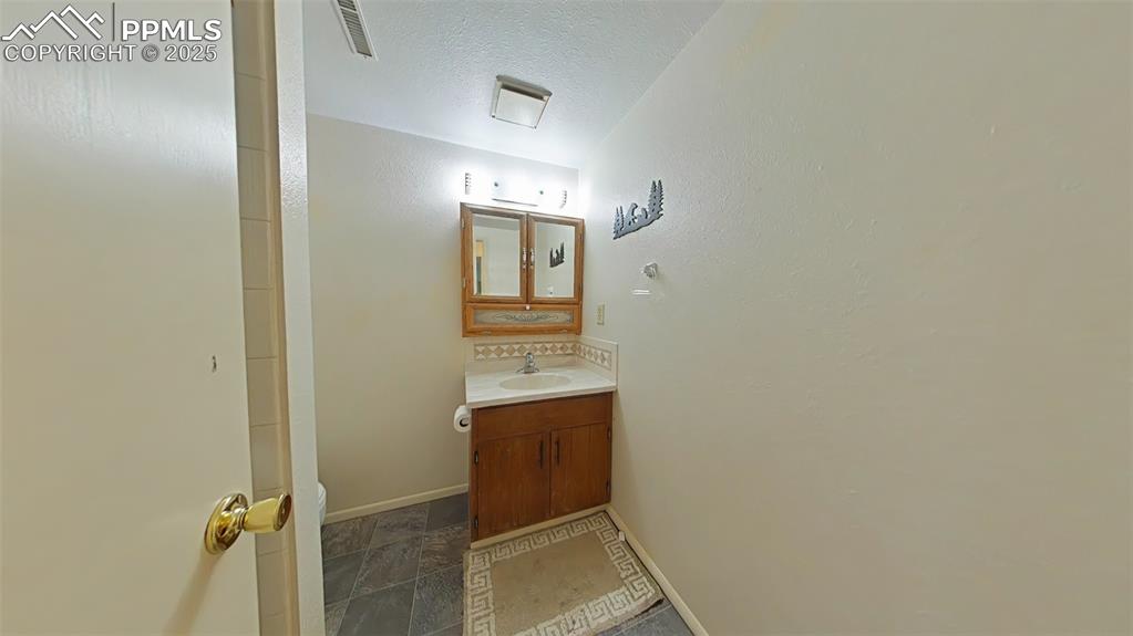 Image 20 of 25: Bathroom on lower level featuring the vanity, shower, and toilet.