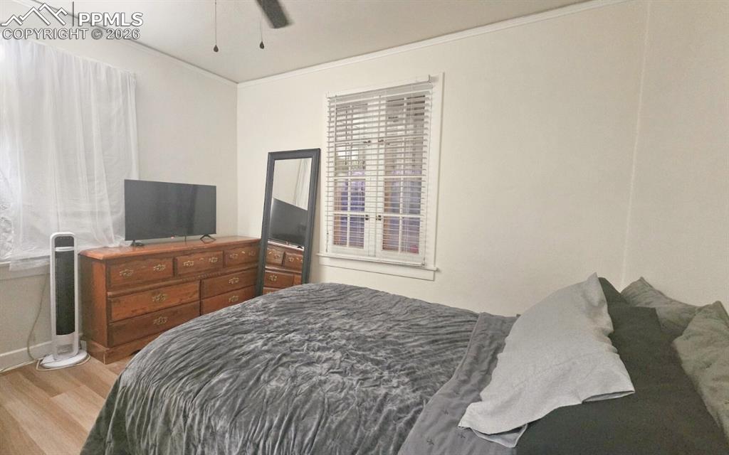 Image 11 of 28: Bedroom with Walk-in Closet