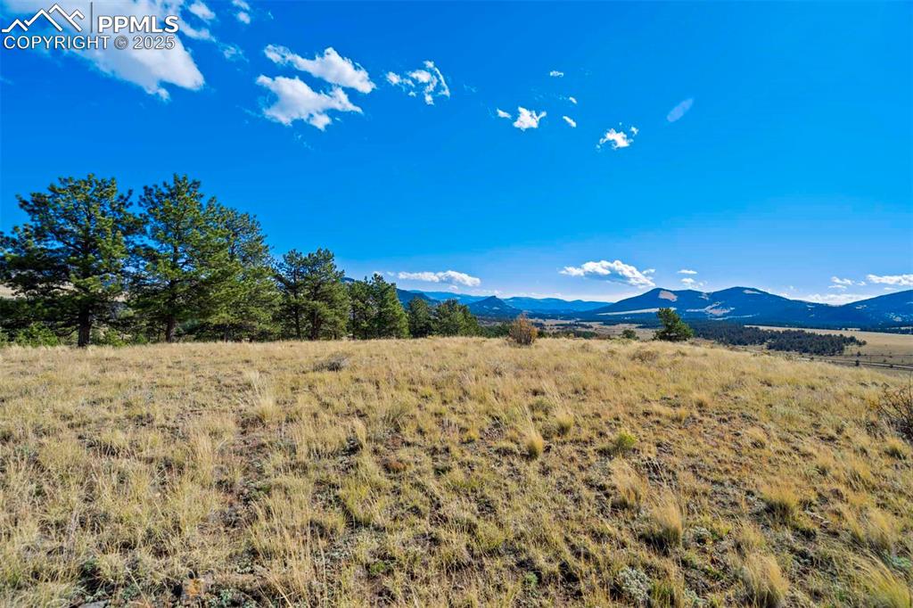 Image 10 of 34: View