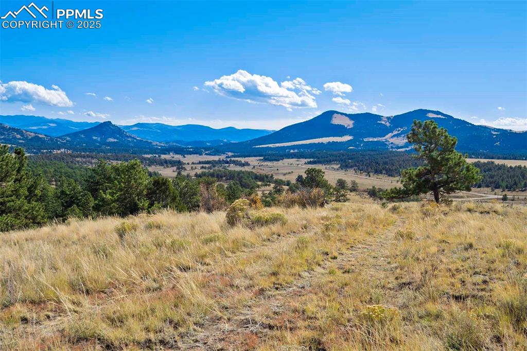 Image 11 of 34: View