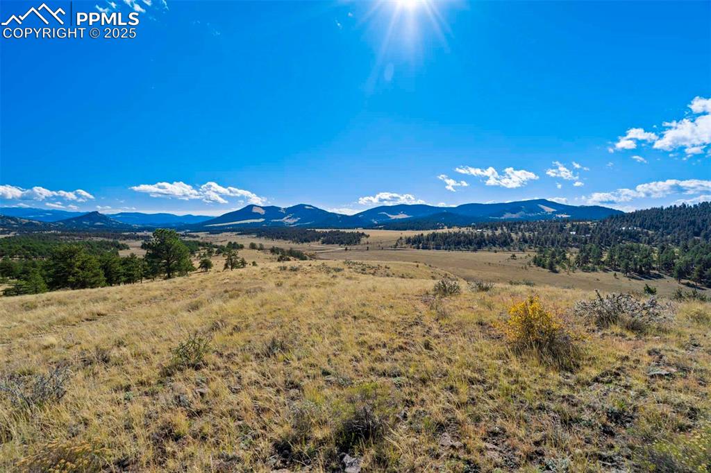 Image 12 of 34: View