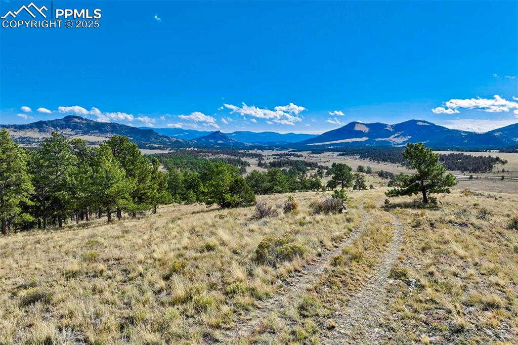 Image 13 of 34: View