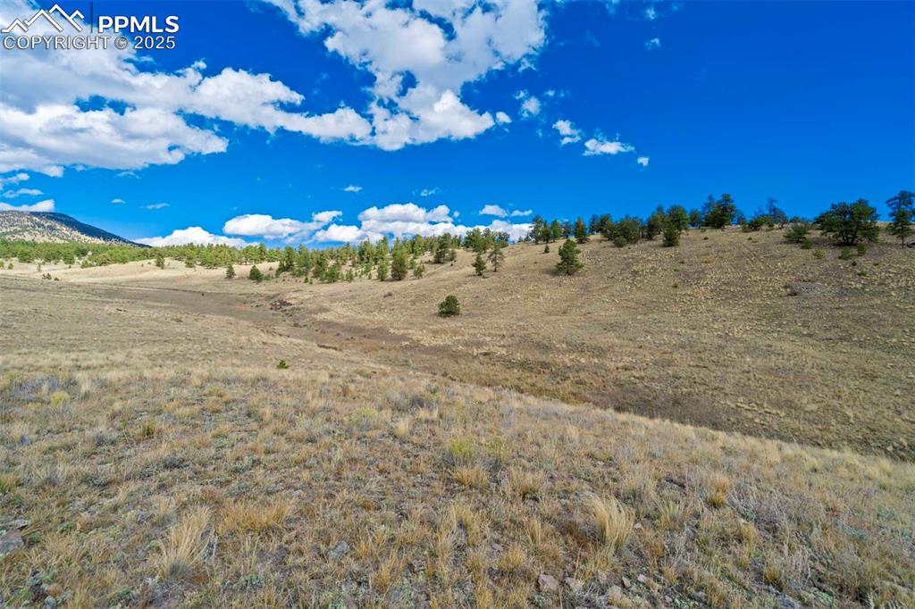 Image 17 of 34: Other