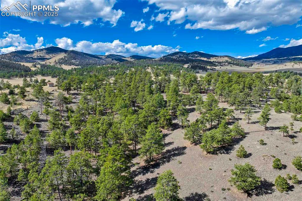 Image 23 of 34: View