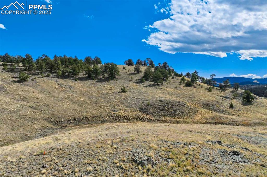 Image 25 of 34: Other