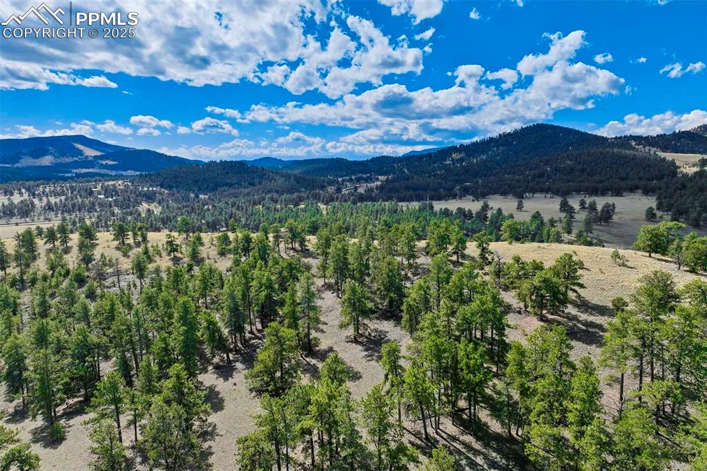 Image 29 of 34: View