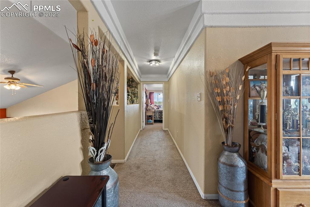 Image 16 of 33: Other