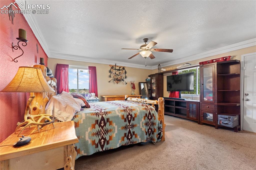 Image 17 of 33: Master Bedroom