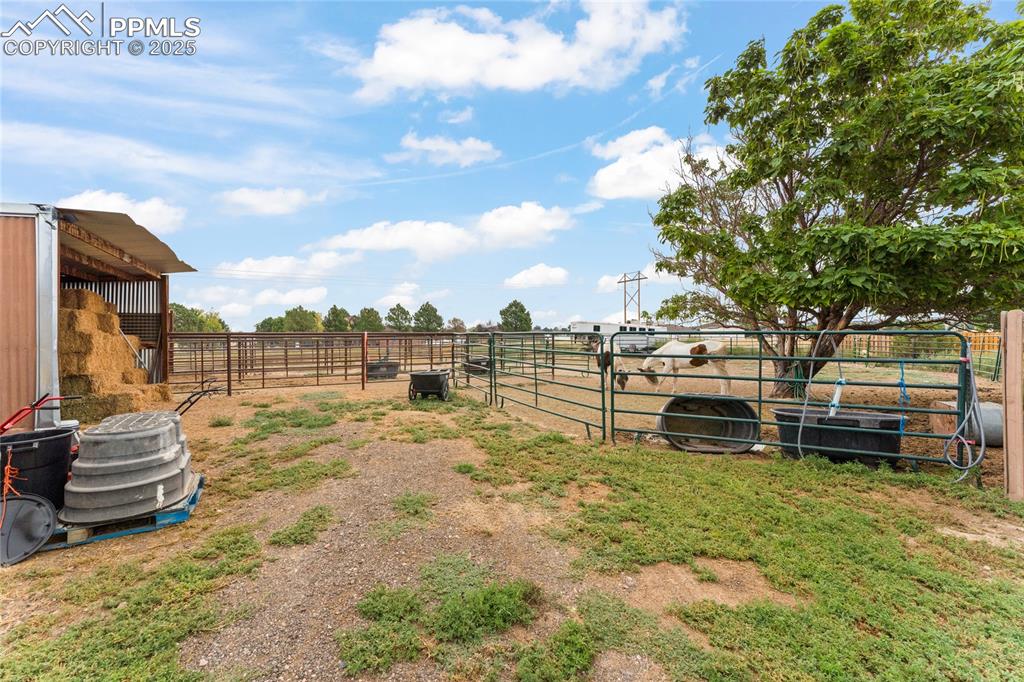 Image 33 of 33: Yard