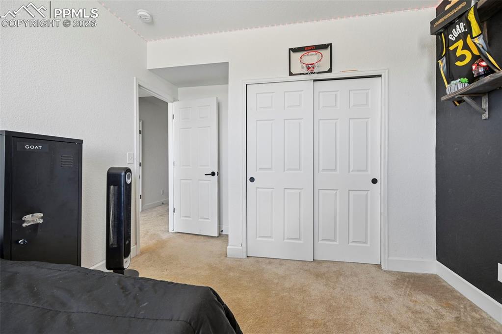 Image 27 of 43: Carpeted room featuring white walls, a two-panel closet with matte black ha