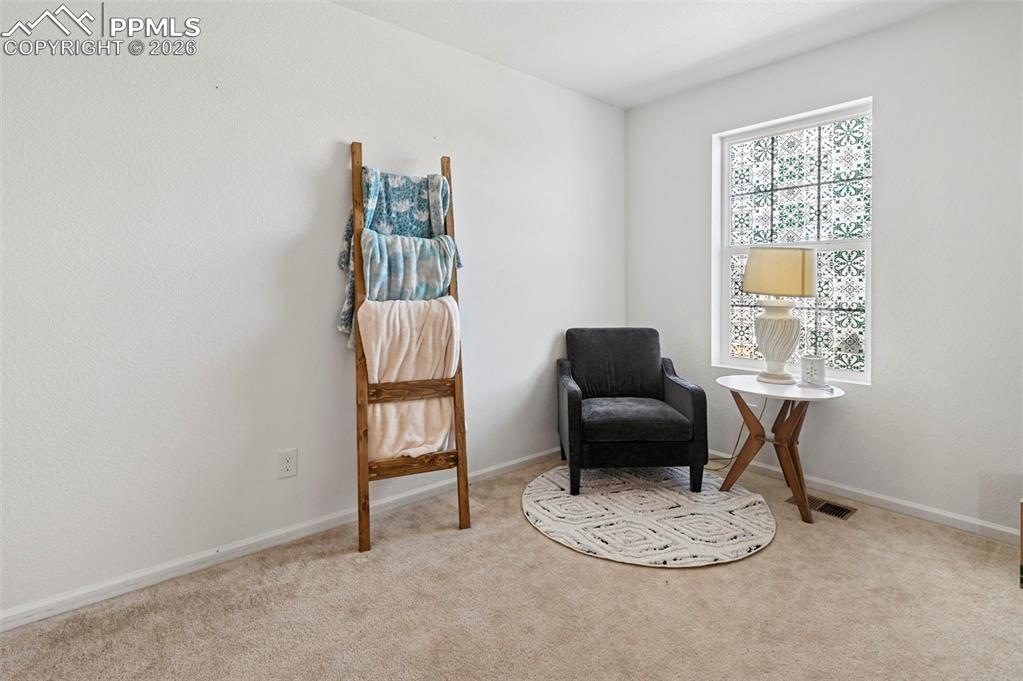 Image 32 of 43: Carpeted room with a patterned window treatment, white baseboards, and ligh