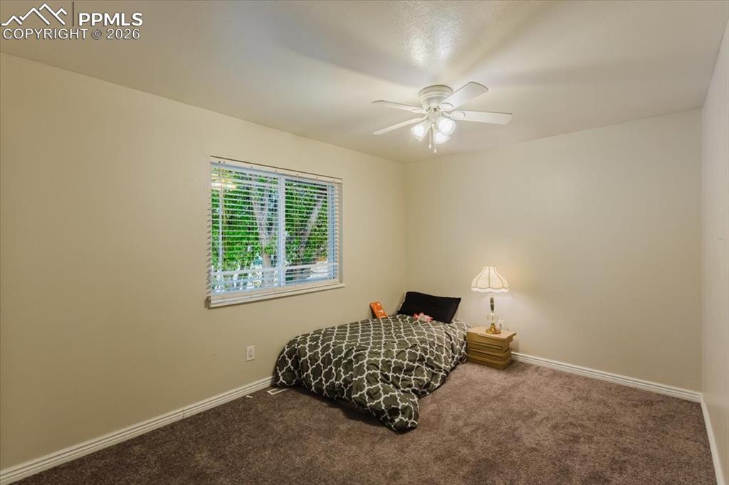 Image 27 of 45: Neutral-toned walls complement plush brown carpeting