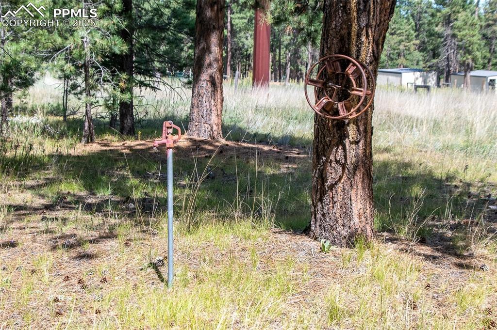 Image 10 of 20: Other