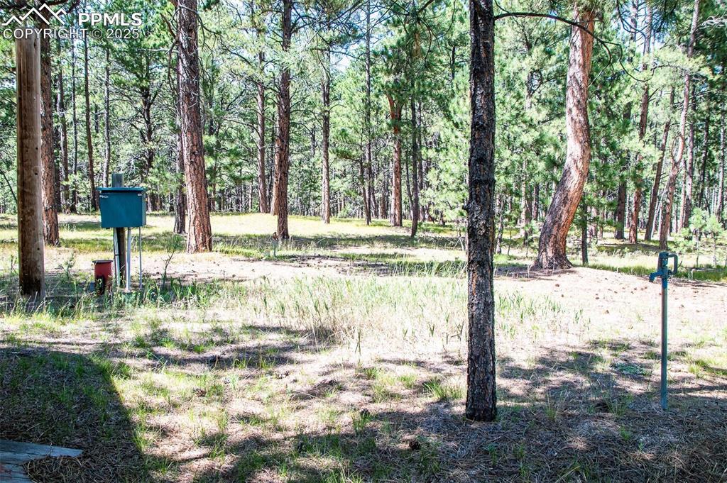 Image 11 of 20: Yard