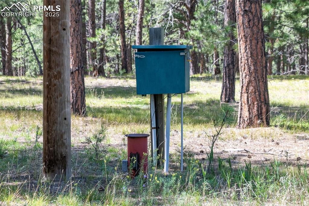 Image 12 of 20: Other