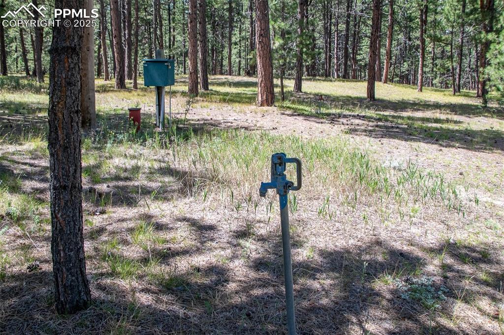 Image 13 of 20: Community