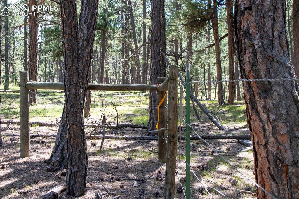 Image 15 of 20: Other