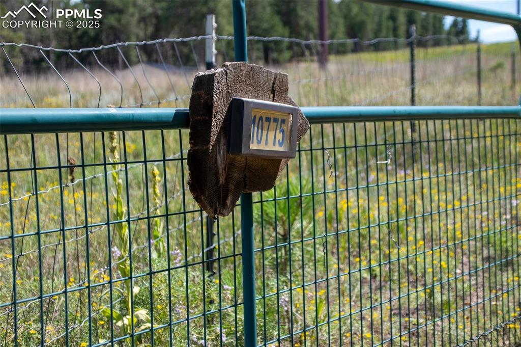 Image 16 of 20: Other