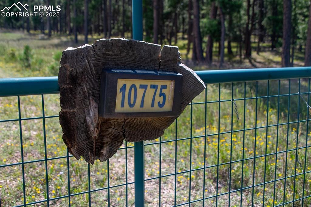 Image 17 of 20: Other