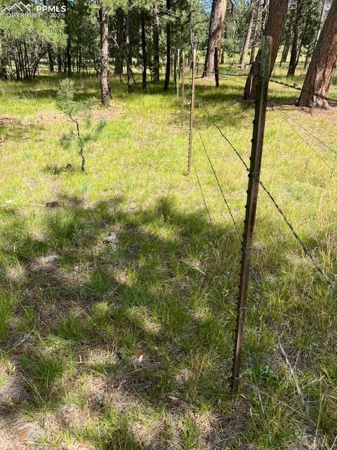 Image 19 of 20: Yard